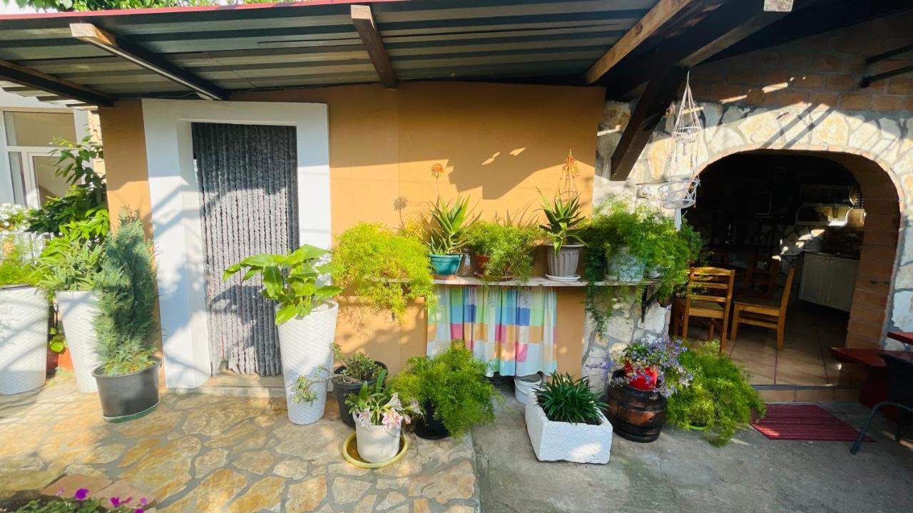 Colorful And Happy Apartment Sukosan - With Parking Sukošan Exterior foto