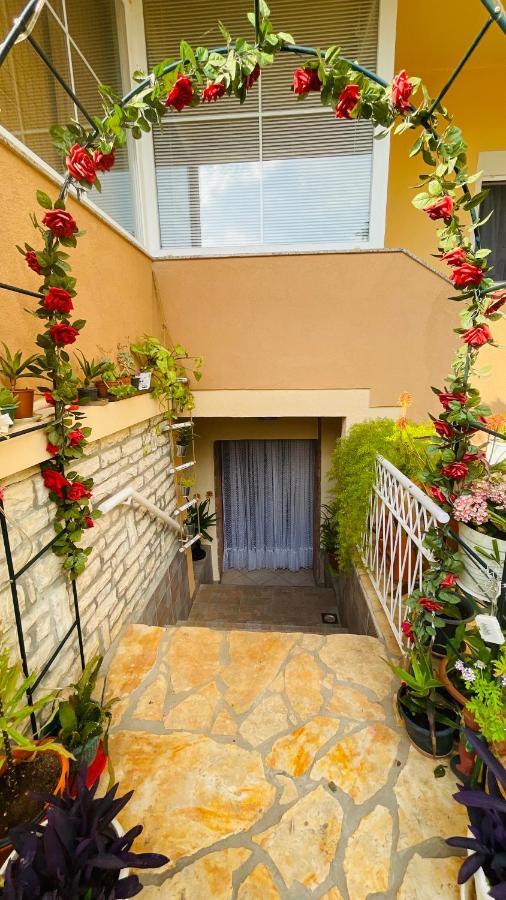 Colorful And Happy Apartment Sukosan - With Parking Sukošan Exterior foto